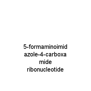 5-formaminoimidazole-4-carboxamide ribonucleotide